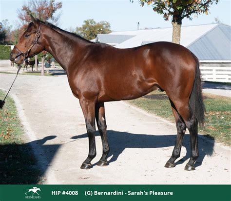 keeneland sales results|Sale Summaries .
